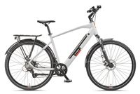 Expedition XT490 Trekking E-Bike Herren (250 W, 36 V) - Kreide 