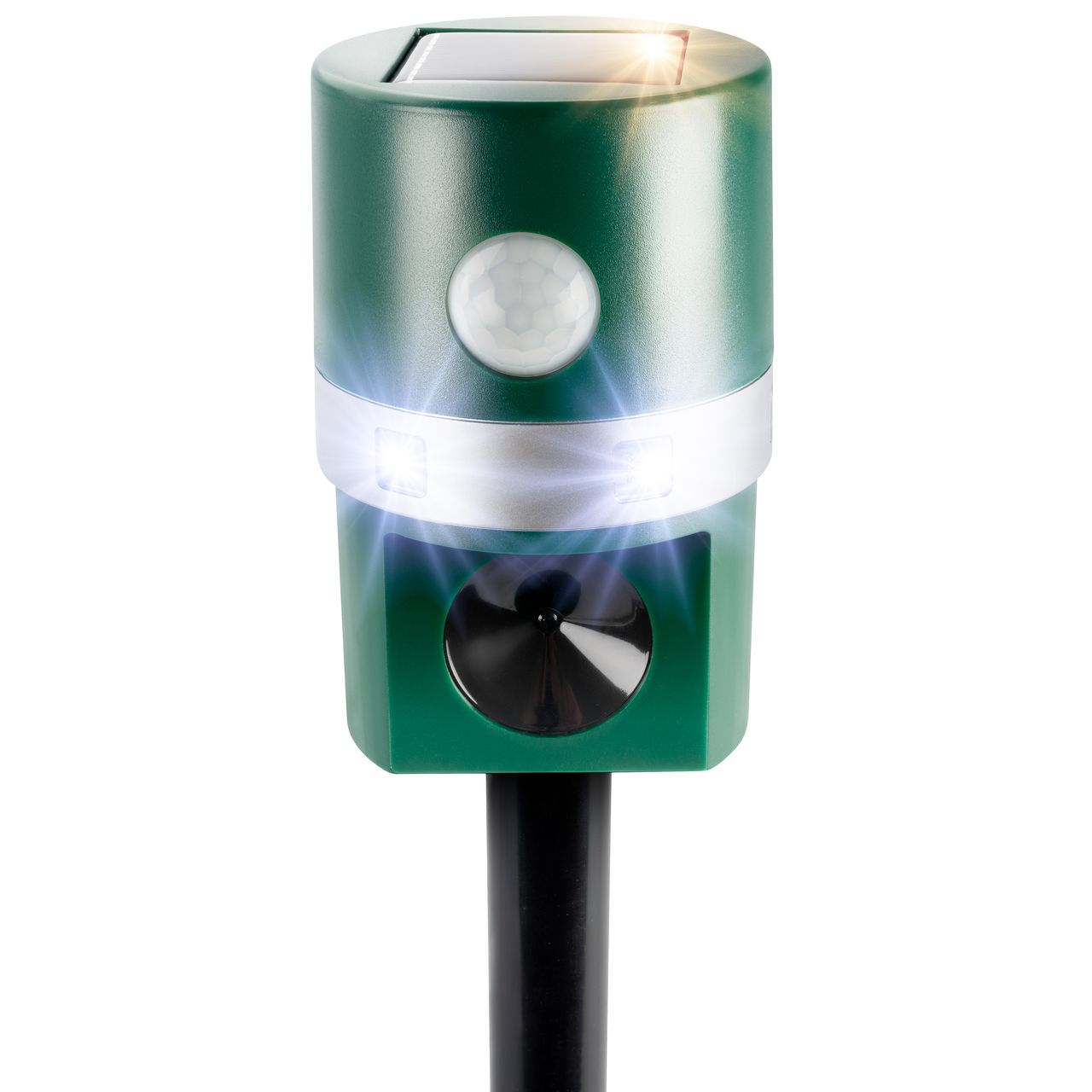 Miniaturansicht des Produkts