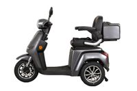E-Seniorenmobil Aktiv Mobil E-Rider 1000 mit Top Case grau - 25 km/h