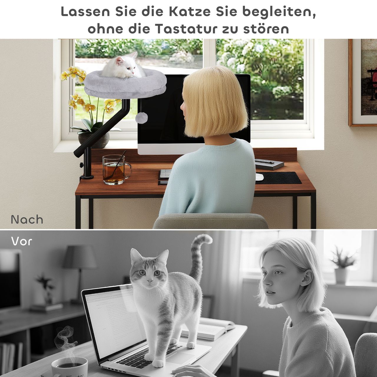 Miniaturansicht des Produkts