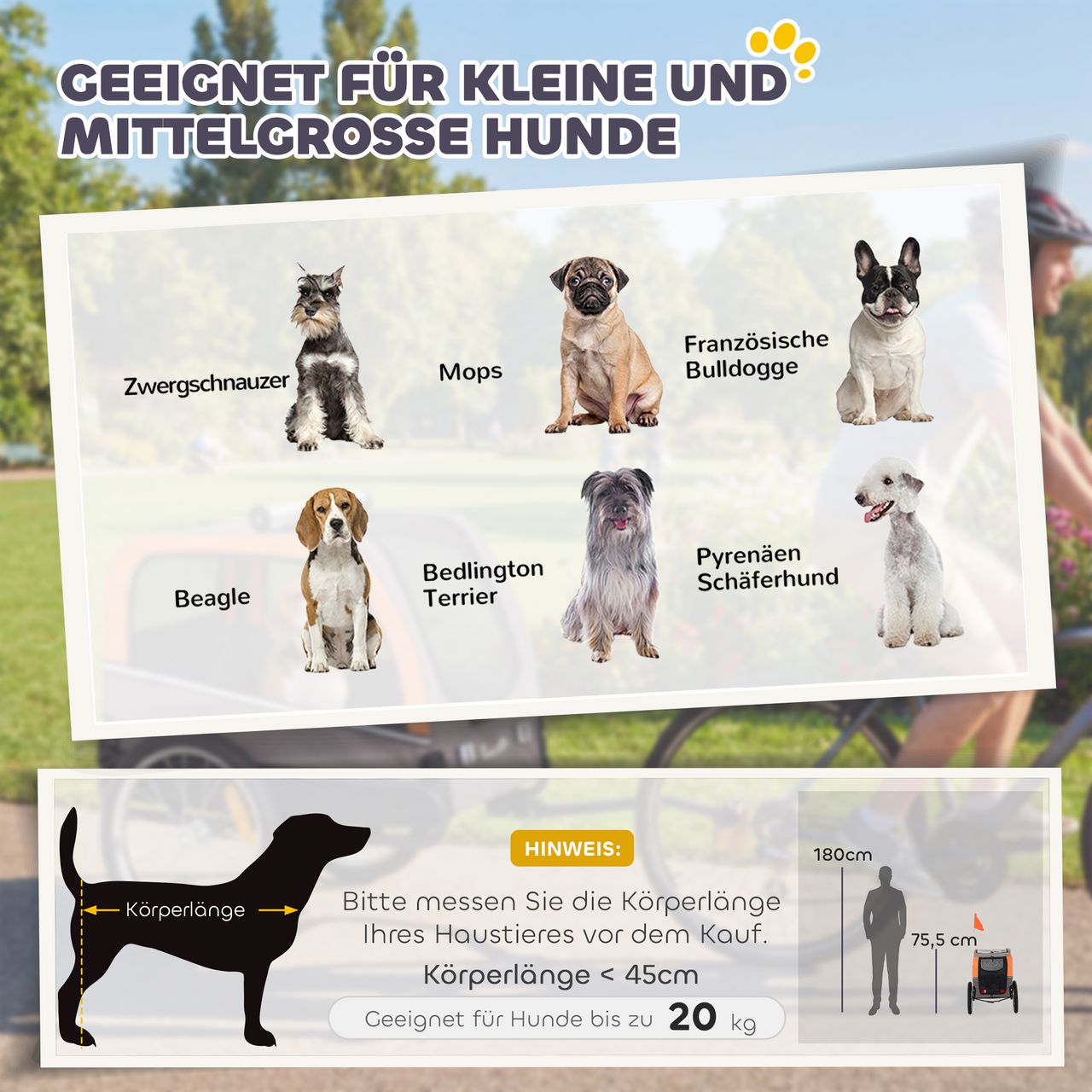 Miniaturansicht des Produkts