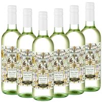 2025 MATTEOTTI Bianco Emilia IGT
