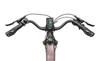 Maxtron Marathon,Trekking E-Bike, BAFANG HR-Nabenmotor, SHIMANO ALTUS 7-Gänge, hydr.Scheibenbr.
