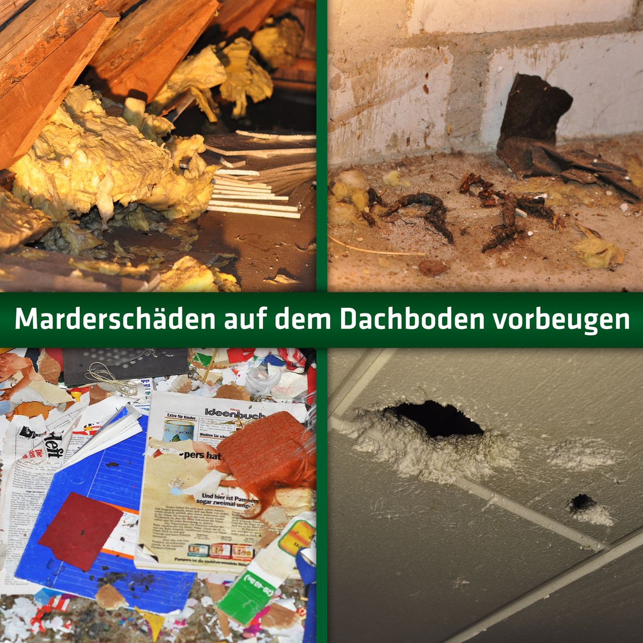 Miniaturansicht des Produkts