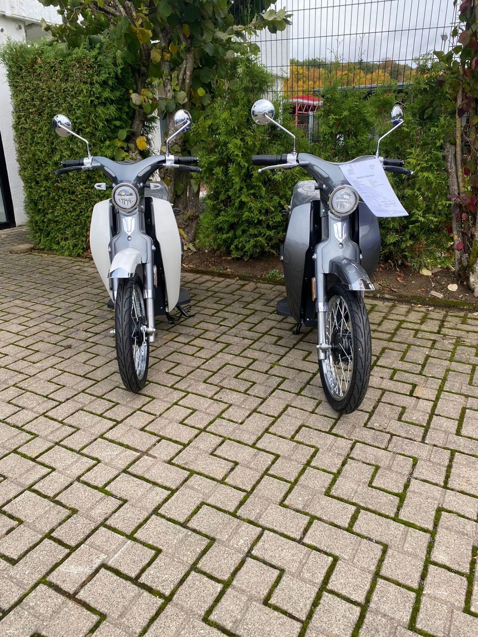 Miniaturansicht des Produkts