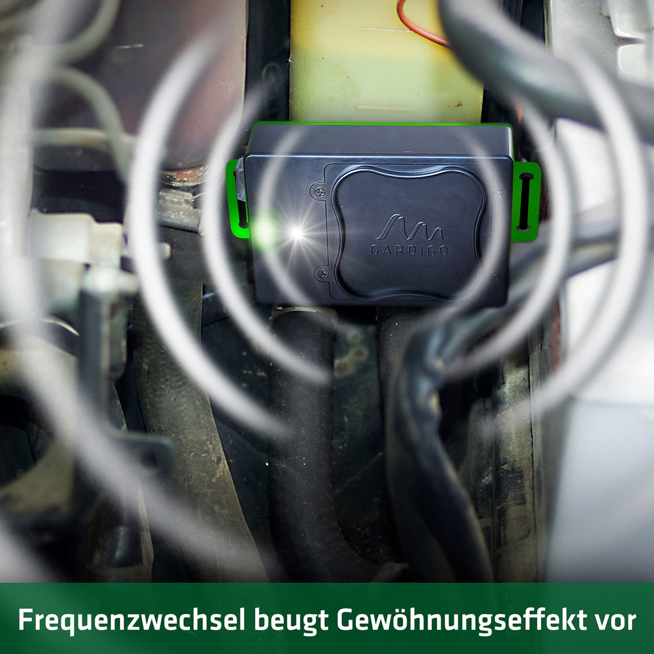 Miniaturansicht des Produkts