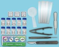 Junior Experimentier-Set Mikroskop