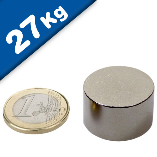 Aimant Rond Néodyme Super Puissant - Disque 25x10mm, Nickelé, Adhérence 15kg - Parfait Pour Bricolage, Affichage, Atelier