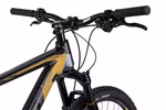 axess-pride-29-satinblack-gold-grey-92277-05-.jpg