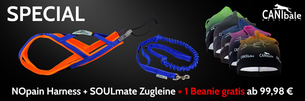     CANIbale NOpain Harness + SOULmate Zugleine + 1 Beanie gratis