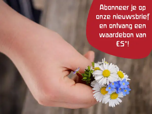 Nieuwsbrief