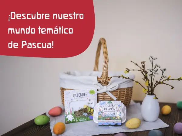 Pascua