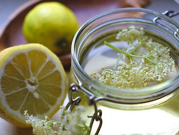 hollunder sirup | waldorfshop