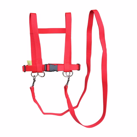 Zügelmatz - horse lead and halter