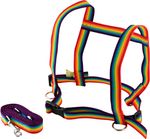 Zügelmatz - horse lead and halter rainbow