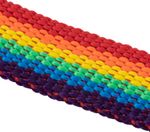 Zügelmatz - horse lead and halter rainbow