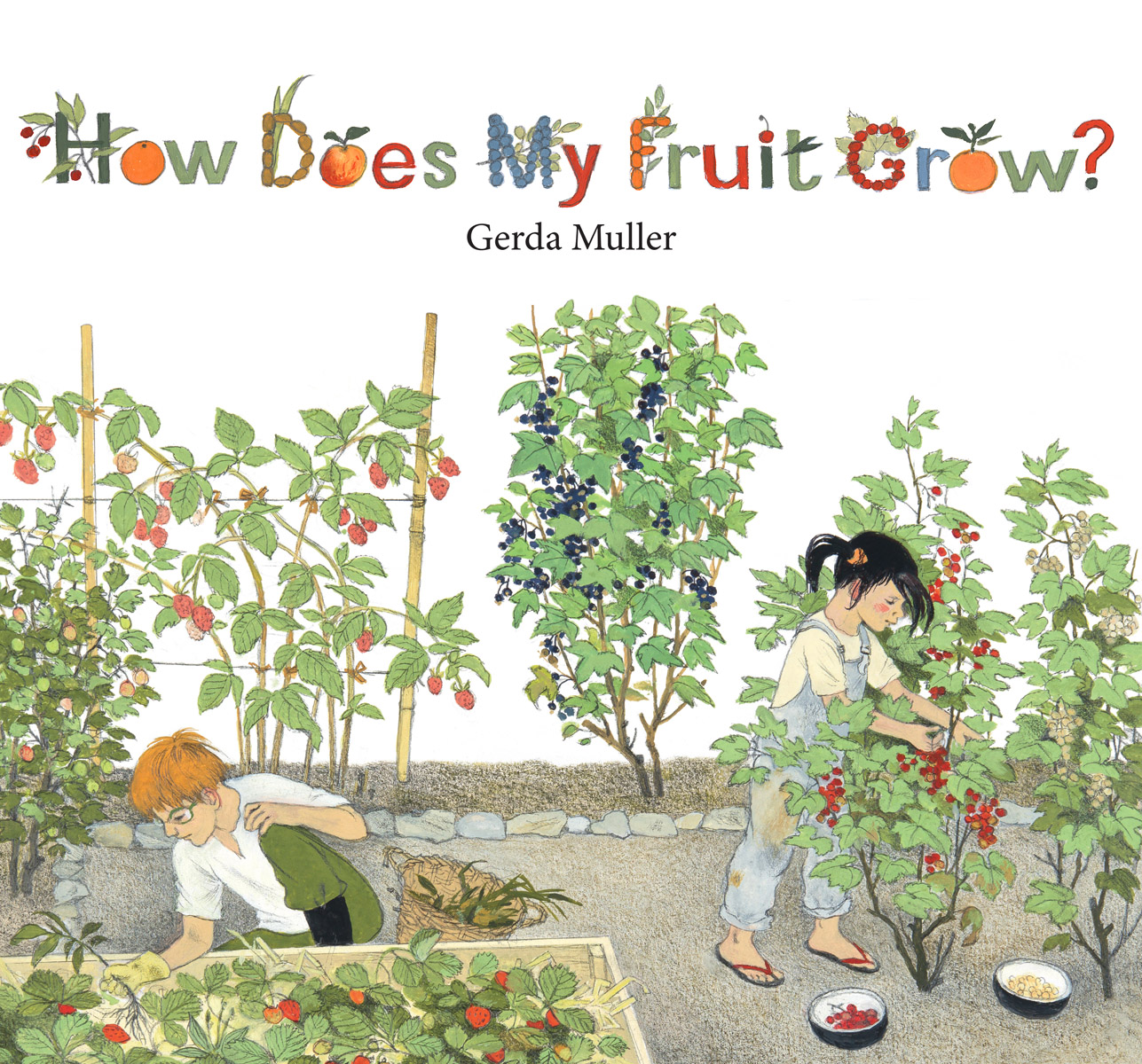 How Does My Fruit Grow Waldorfshop Waldorf Toys And Material