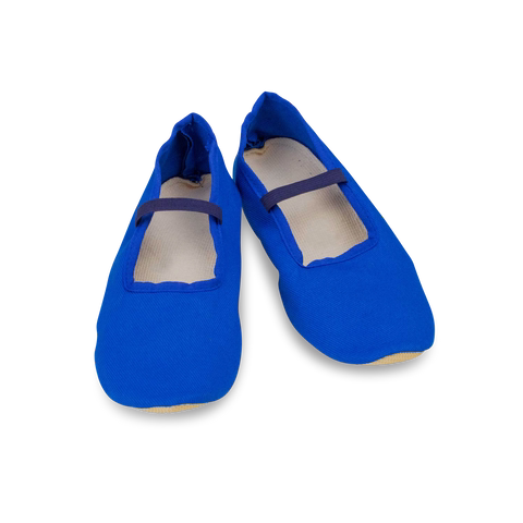 Euritmie schoenen standaard, blauw