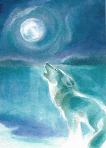 Postcard Wolf