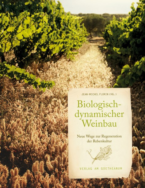 Biologisch-dynamischer Weinbau: Neue Wege zur Regeneration der Rebe