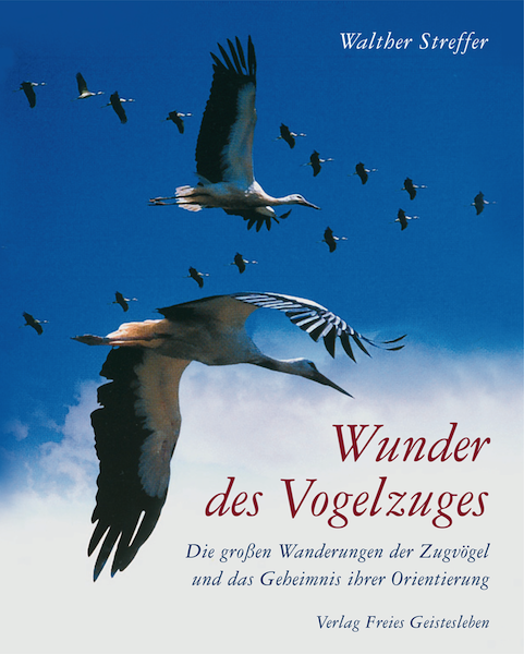 Wunder des Vogelzuges