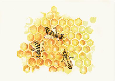 Carte postale Abeilles DIN A5