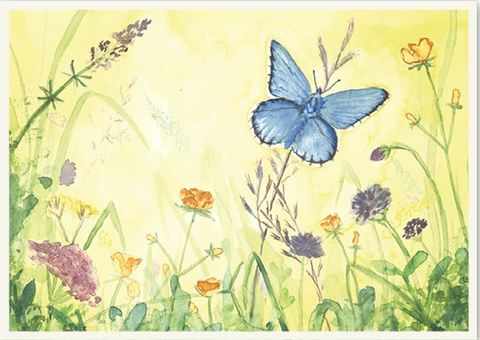 Carte postale Papillon dans la prairie, DIN A5