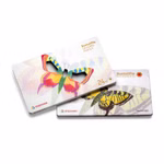 STOCKMAR Buntstifte, sechseckig, 24+1 | Waldorfshop