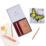 Das Stockmar STOCKMAR Buntstifte sechseckig 12+1 Set enthält Buntstifte in einer offenen Dose eine geschlossene Schachtel mit Schmetterlingsmotiv lose Stifte und eine gelbe Blumenzeichnung auf weißem Papier.