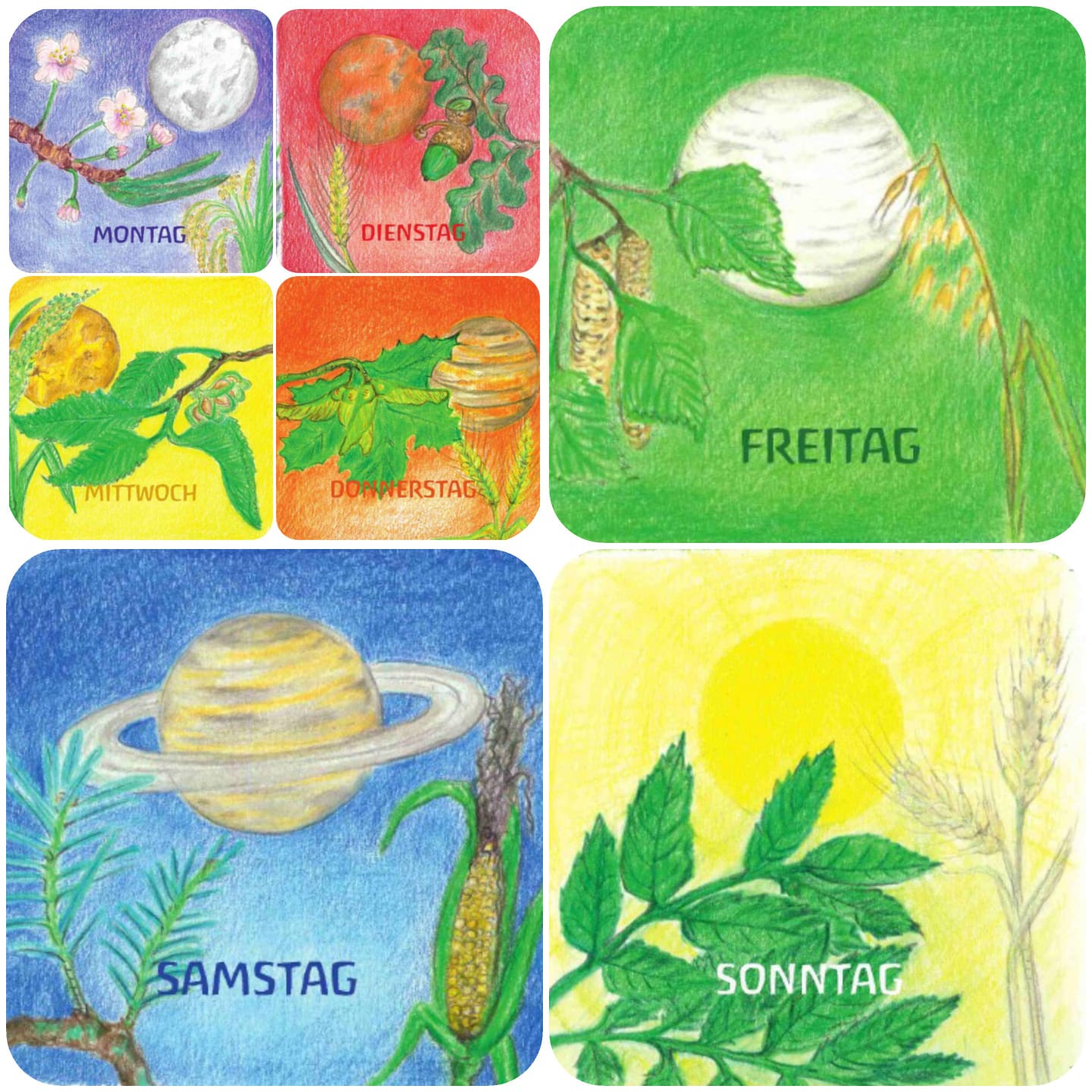 Kartenset: Tage