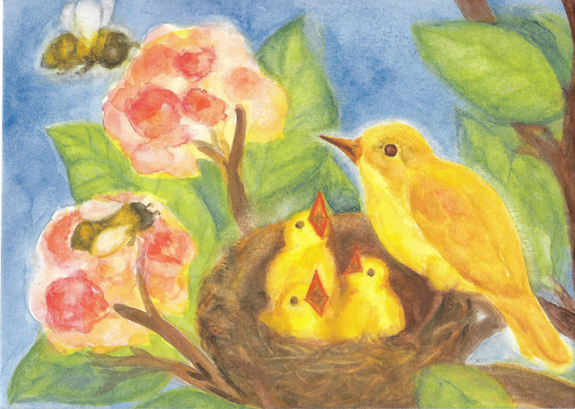 Postcard Bird's Nest 