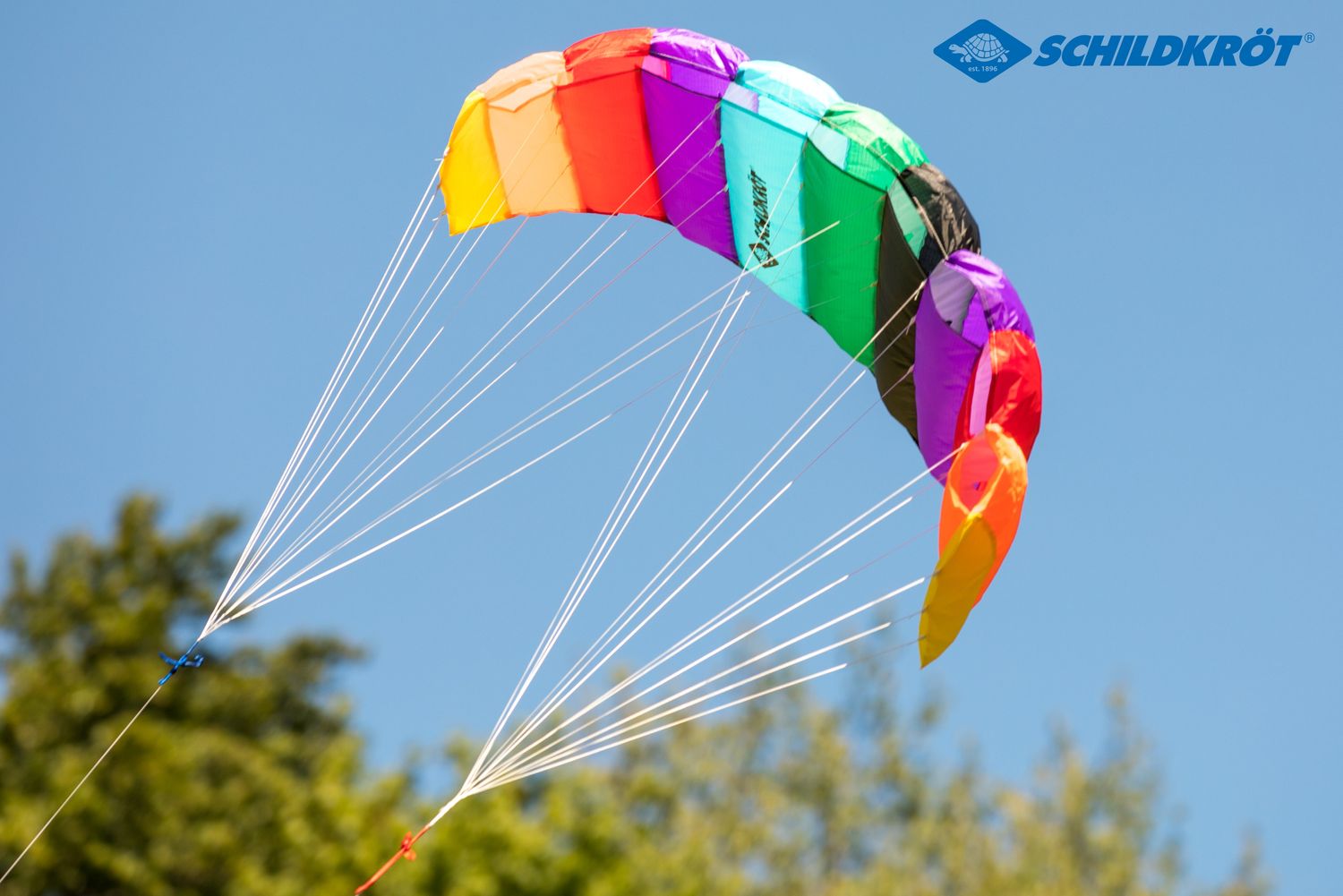 Schildkröt Dual Line Sport Kite 1.3