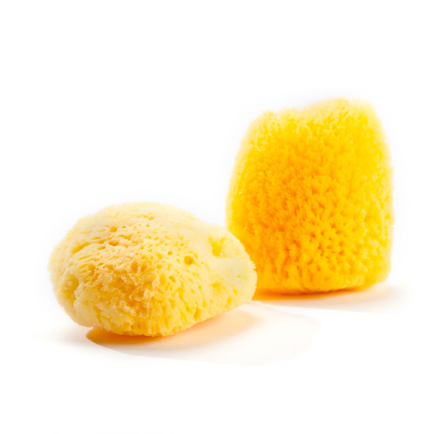 Zimocca Natural Sponge