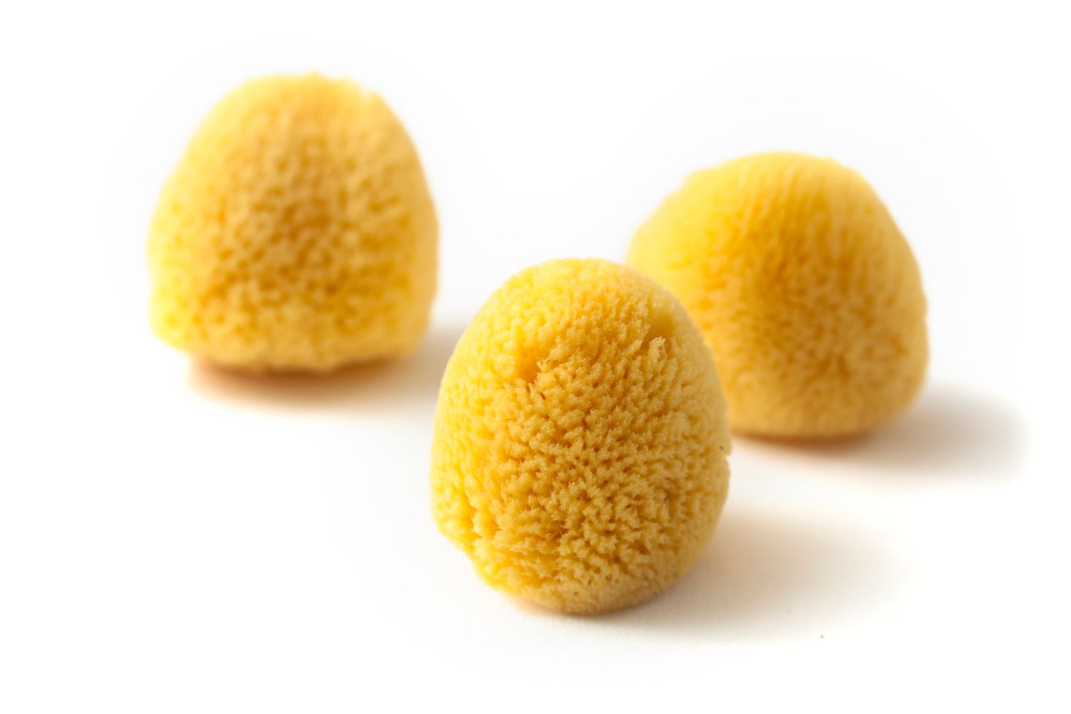 Zimocca Natural Sponge