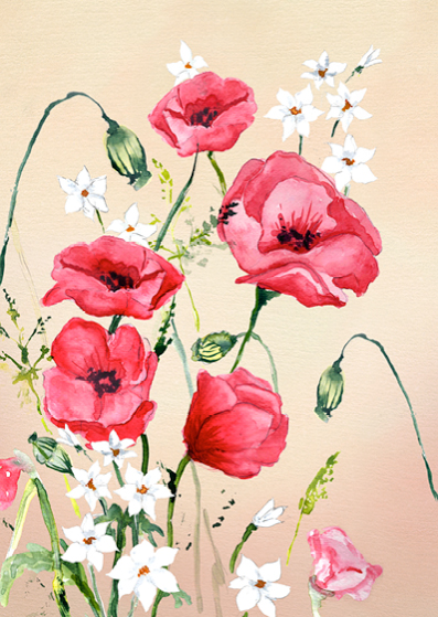 Postcard Poppies