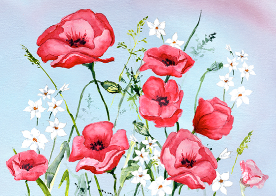 Postcard Poppies with Sky