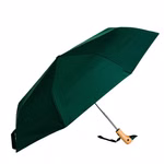 Ombrello verde scuro Ombrello verde scuro