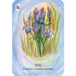 Card game: Wild Herbs Quartet