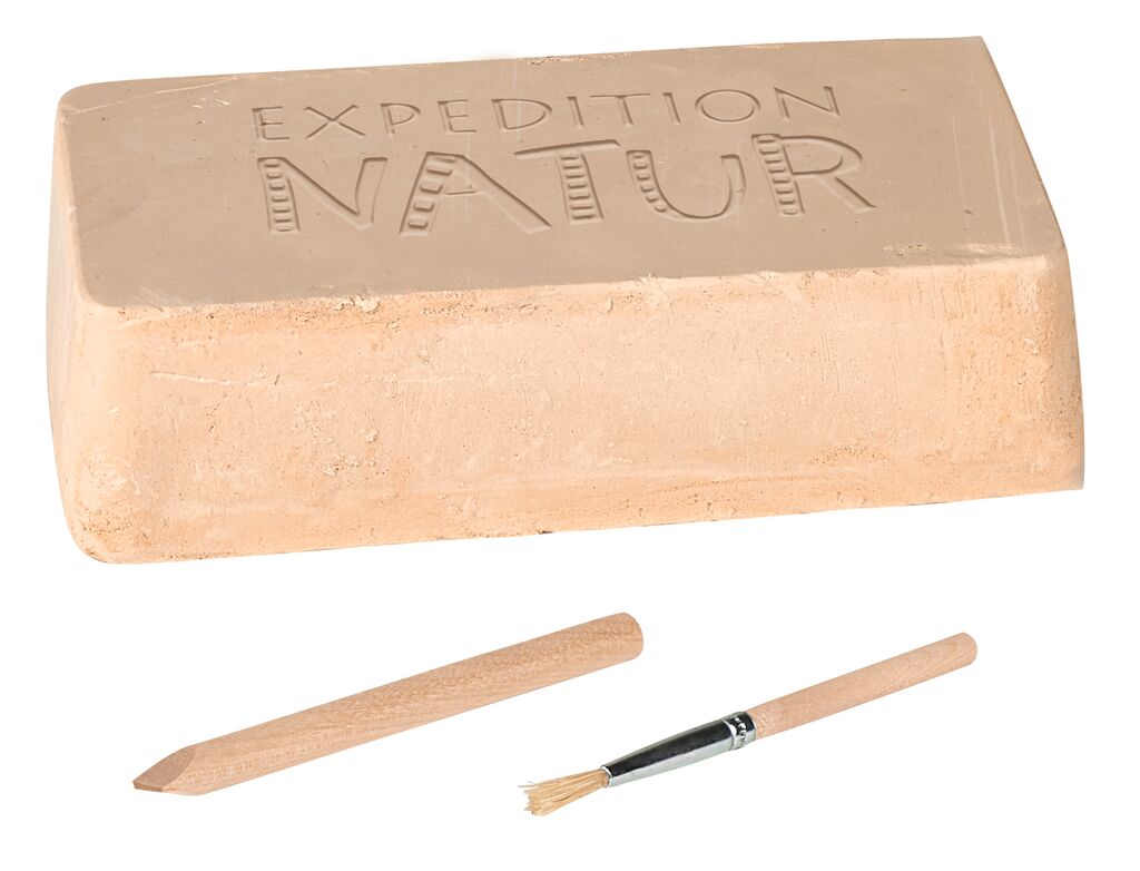 Mini kit d'excavation Fossiles extraordinaires