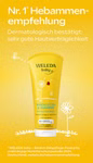 Calendula Wash Lotion & Shampoo Calendula Wash Lotion & Shampoo