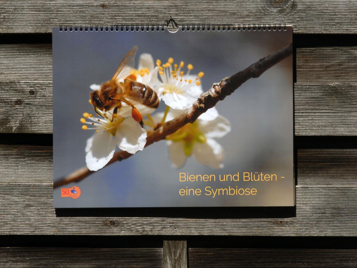 Kalender "Bienen und Blüten"