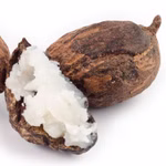 Everon lipverzorging Everon lipverzorging