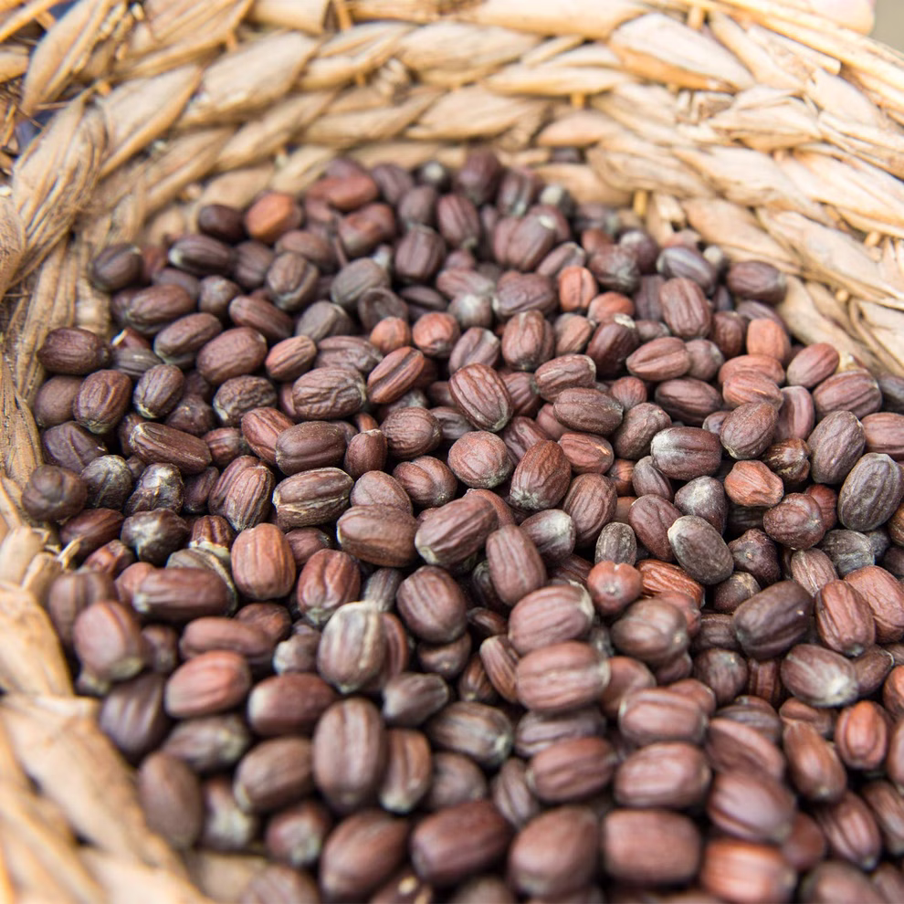 Everon lipverzorging Everon lipverzorging