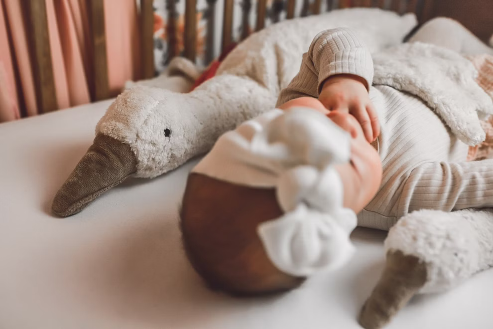 Kuscheltier Gans groß, weiß Kuscheltier Gans groß, weiß