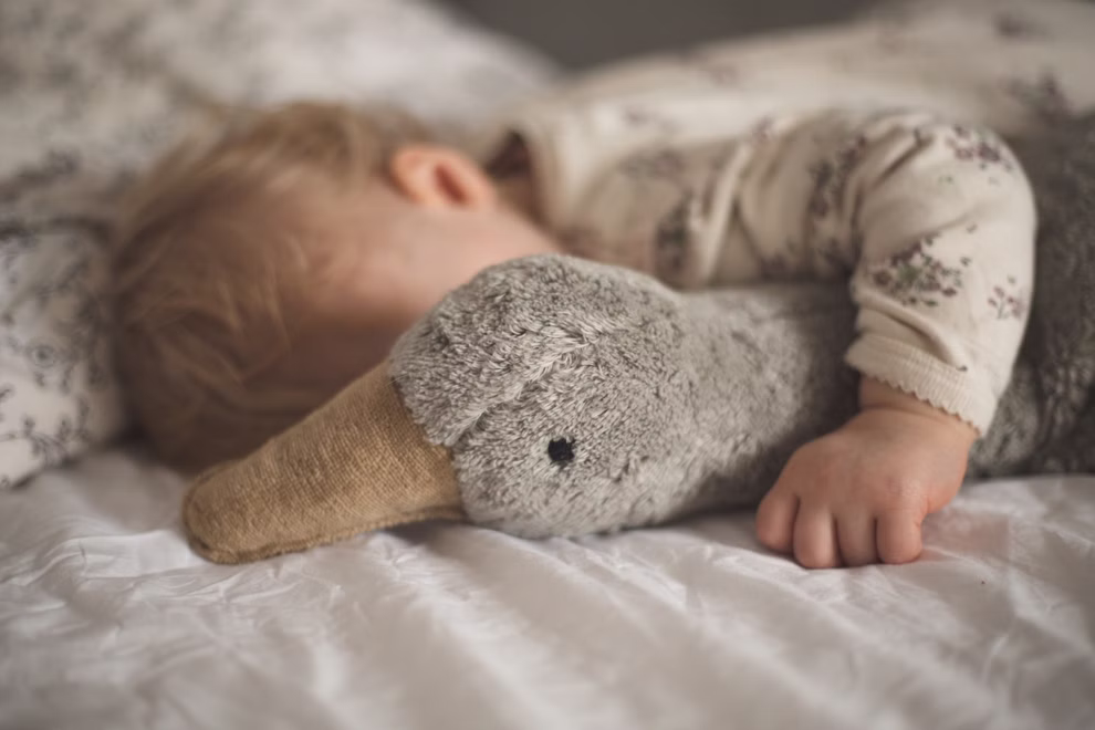 Kuscheltier Gans groß, grau Kuscheltier Gans groß | grau