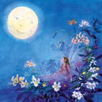 Toverlux Silhouetten Set „Die kleine Elfe kann nicht schlafen"