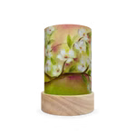 Toverlux Lanterne-parapluie Set Saisons - Baukje Exler