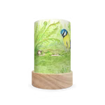 Toverlux Laternen-Schirme Set Jahreszeiten - Eentje van Margo