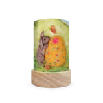 Toverlux Laternen-Schirme Set Jahresfeste - Het Wol Feetje