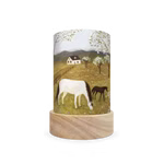 Toverlux Lantern Shades Set Seasons - Robin Pieterse